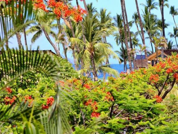 Lahaina Vacation Condo on Beach- Two Bedrooms Three Bathroom