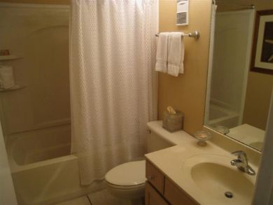 Bathroom - Shower in tub
