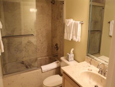 Bathroom - Shower in tub