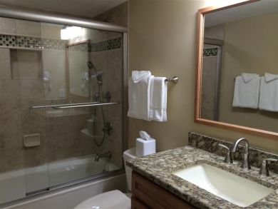 Bathroom - Shower in tub