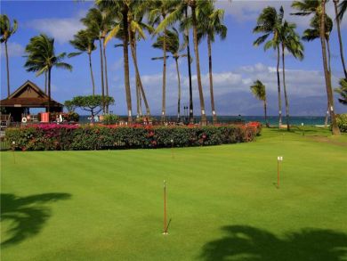 Pacific Ocean Views from This Maui Rental - Pacific Ocean Views from This Maui Rental -