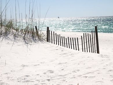 White Sandy Beach