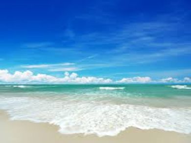 Value all the way Great Siesta Key Rental One Block to Villa