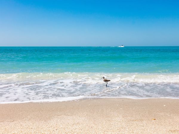 Captiva Island Luxury One Bedroom Vacation Rental