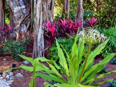 Captiva Island two Bedroom Vacation Rentals