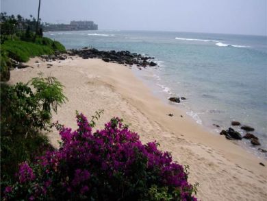 Sandy Beach