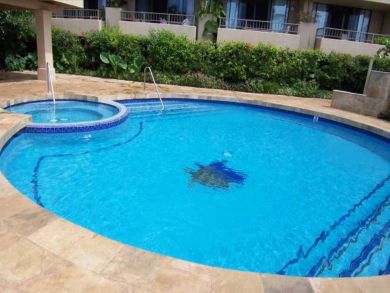 Stunning Vacation Rental Great Views and Interio