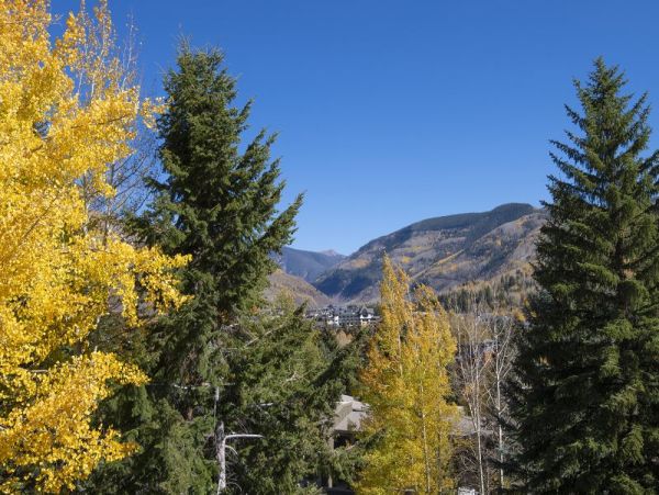 Walk to Gondola Lovely Vacation Mountain Home