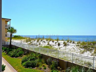 Beach View