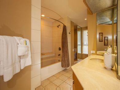Shower in Tub