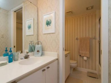 Master Bathroom with Shower Over Tub Master Bathroom with Shower Over Tub