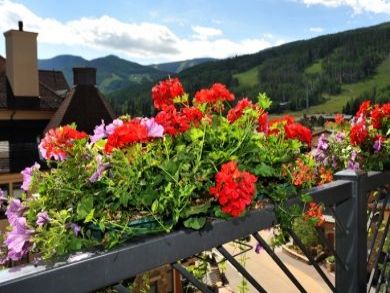 Slopes View