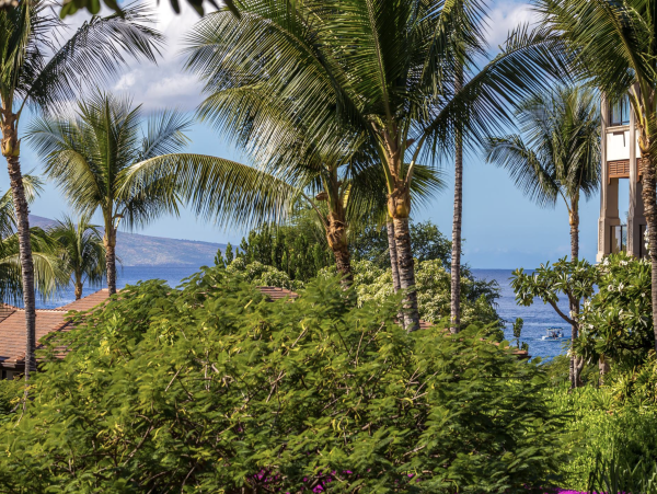 Luxury Three Bedroom Villa Sleeps 8 with  Private Plunge Pool