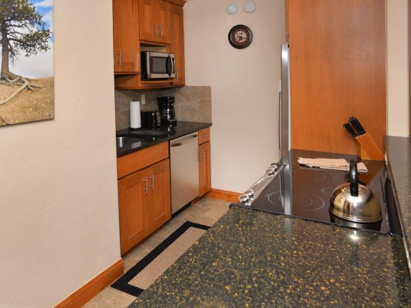 Vail Luxury Two Bedroom Condo Walk to Lift & Mountain View
