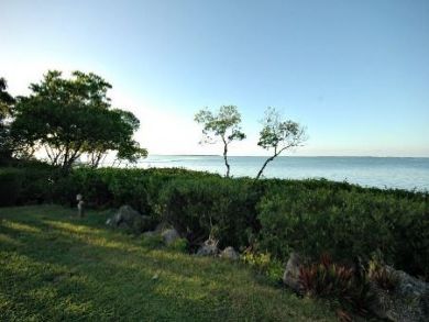 View from Backyard Common Area