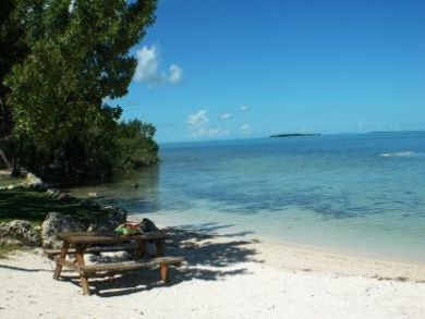 Beach & Swimming Area