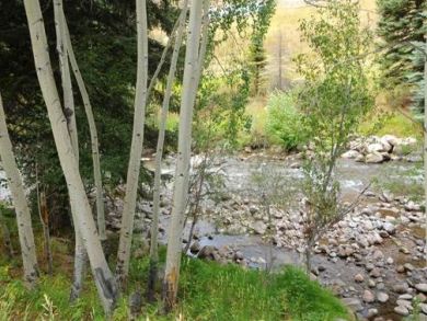 Creek View