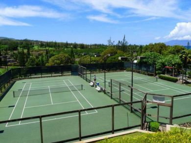 Kapalua Luxury One Bedroom Vacation Villa for Rent