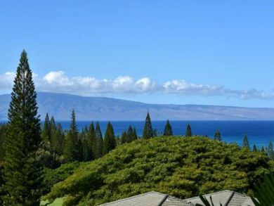 Kapalua Luxury One Bedroom Vacation Villa for Rent
