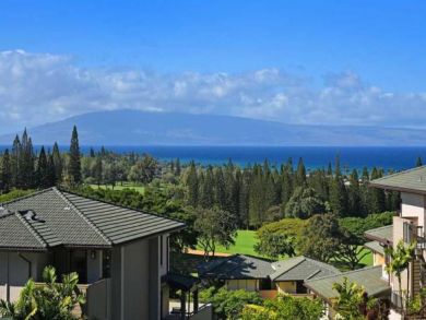 Kapalua Luxury One Bedroom Vacation Villa for Rent