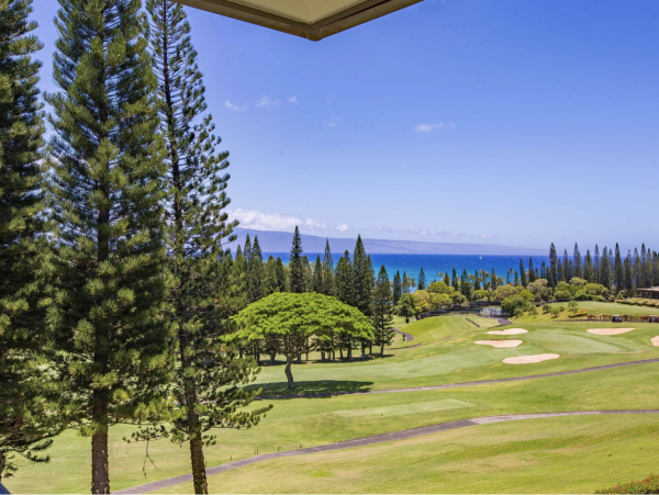 West Maui One bedroomm Luxury vacation Villa
