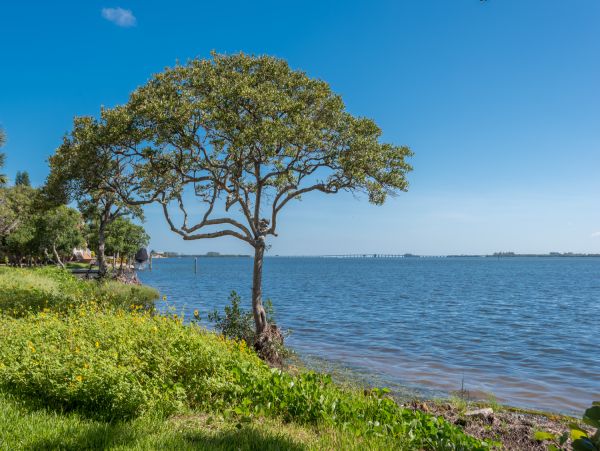 Anna Maria Island Vacation Condo Rental - Cortez Beach Access