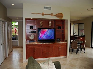 Flat Panel TV in Living Area