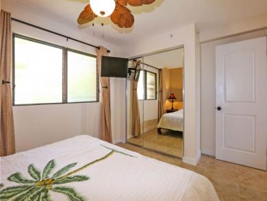TV in Second Bedroom