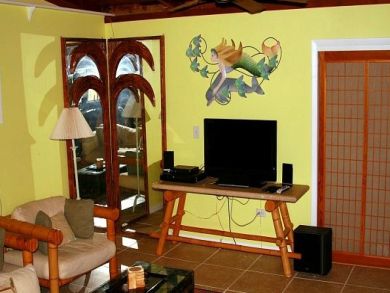 Flat Panel TV in Living Room