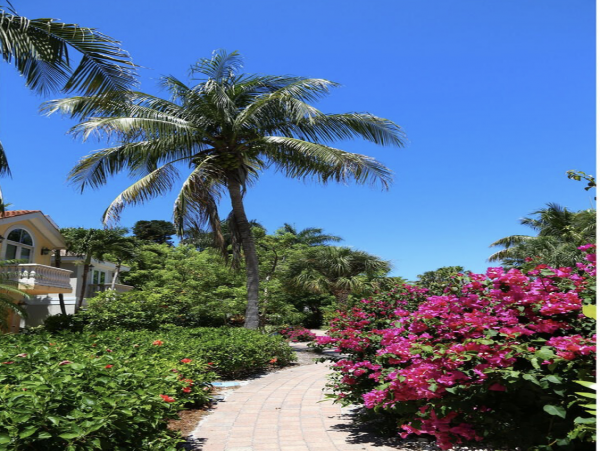 Village of Captiva Private home with pool one block to beach