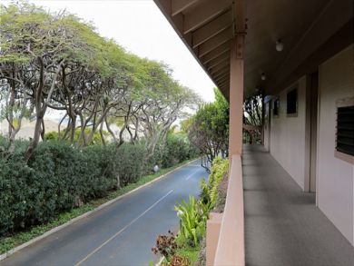 Wailea Condo 892430