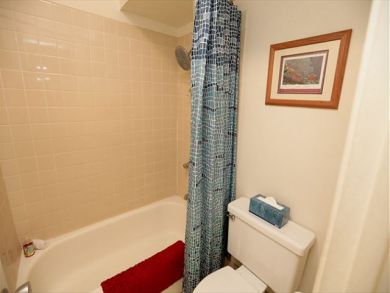 Wailea Condo 892430