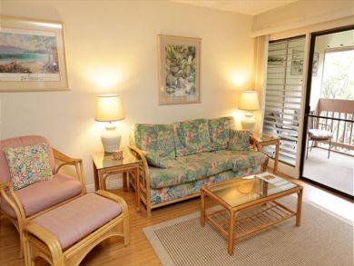 Wailea Condo 892430