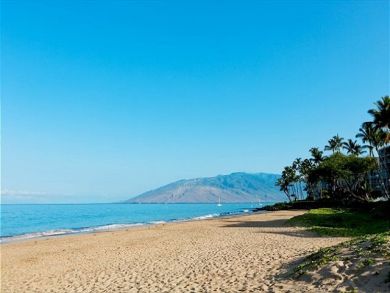 Wailea Condo 892430