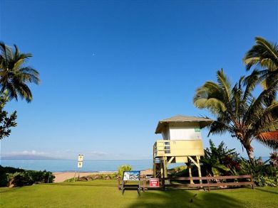 Wailea Condo 892430