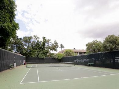 Wailea Condo 892430