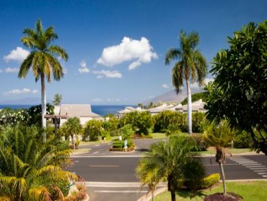 Wailea 2 Bedroom Condo Sleeps 6 Guests Short Walk to Beach