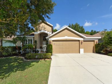 Sarasota Home 892499