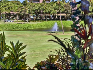 Kaanapali Condo 892547 Kaanapali Condo 892547
