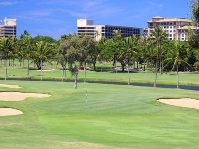 Kaanapali Condo 892547 Kaanapali Condo 892547