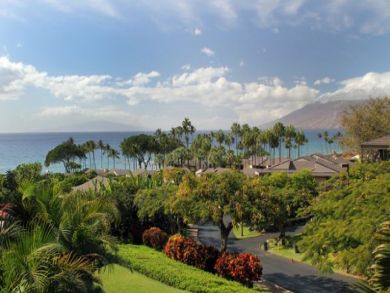 Wailea Condo 892648