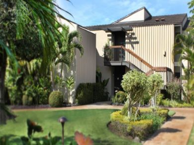 Wailea Condo 892648