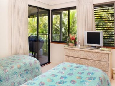 Wailea Condo 892648