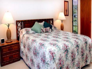 Wailea Condo 892648