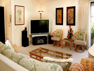 Wailea Condo 892648