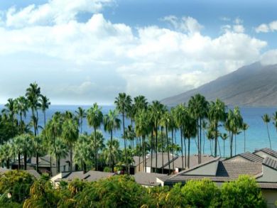 Wailea Condo 892648