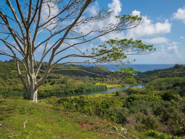 Luxury Kauai Estate  Sleeps 12 Guests