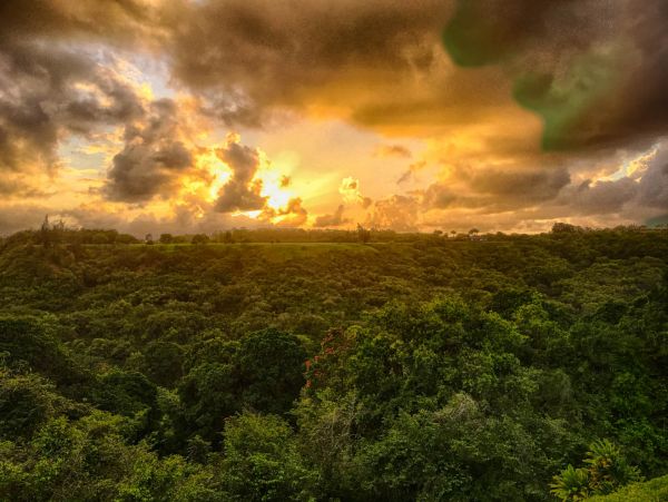 Luxury Kauai Estate  Sleeps 12 Guests