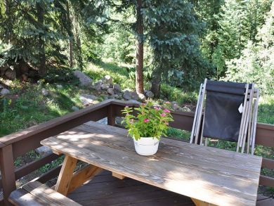 Vail Lionshead Home 892805