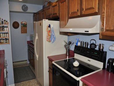 Vail Lionshead Home 892805